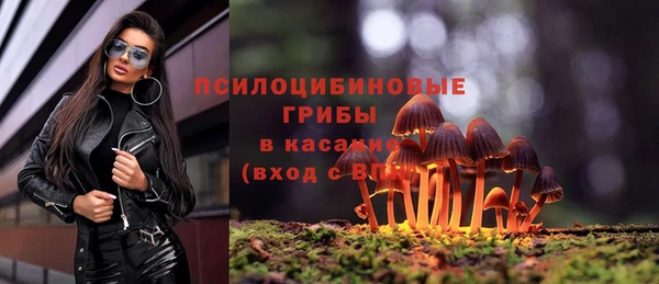 мдпв Куйбышев