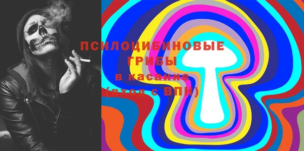 мдпв Куйбышев