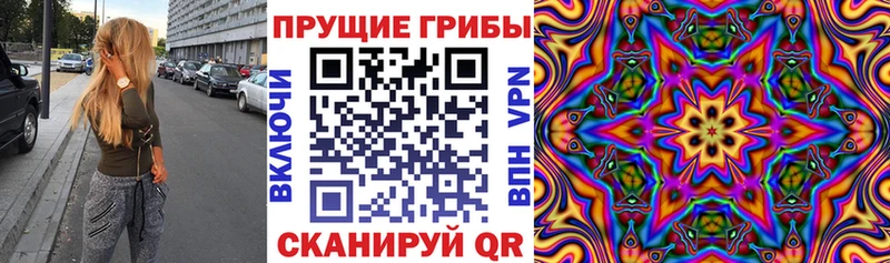 Купить где  Туран  Галлюциногенные грибы Cubensis 