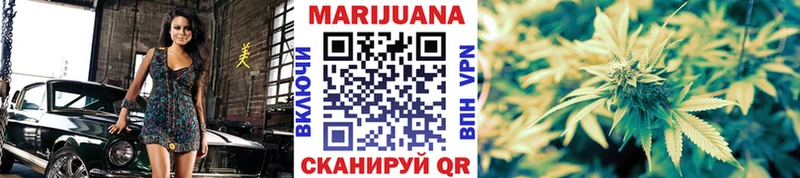 Бошки Шишки план  Купить где  Туран 